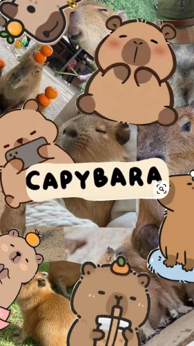 Hình nền capybara 216