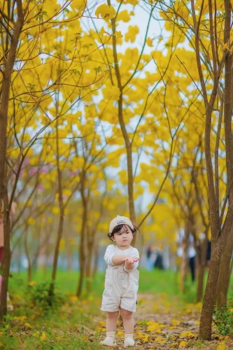 Hình nền chibi 14