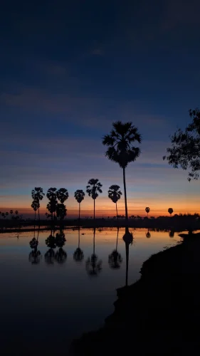 Hình nền chill 45