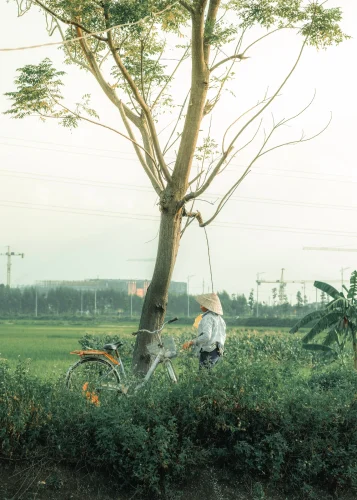 Hình nền chill 54