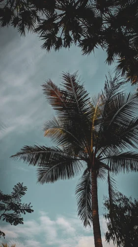Hình nền chill 60