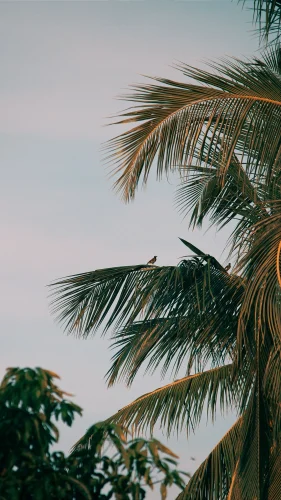 Hình nền chill 78