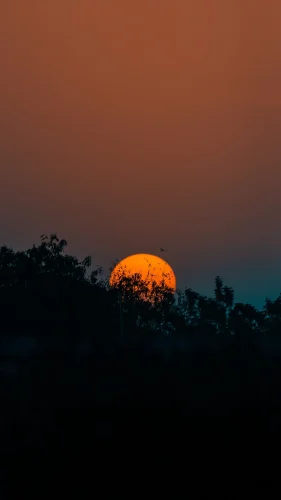 Hình nền chill 80