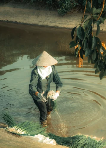 Hình nền chill 88