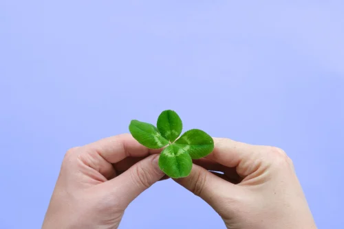 Hình nền cỏ 4 lá 9
