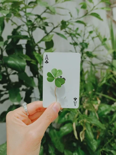 Hình nền cỏ 4 lá 26