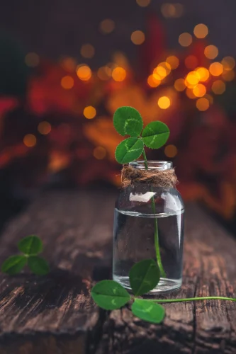 Hình nền cỏ 4 lá 44