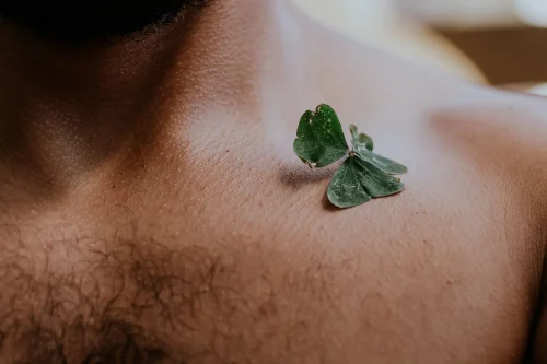Hình nền cỏ 4 lá 31