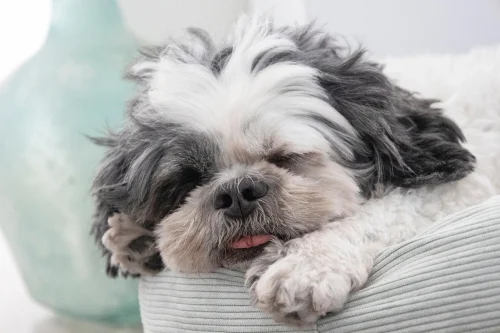 Hình nền dễ thương 140