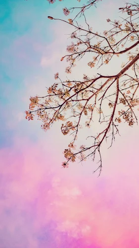 Hình nền điện thoại 17