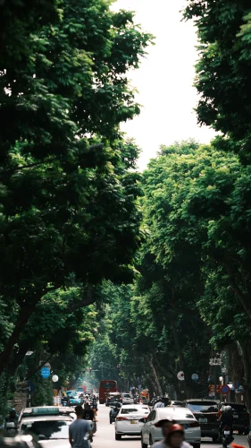 Hình nền điện thoại 26