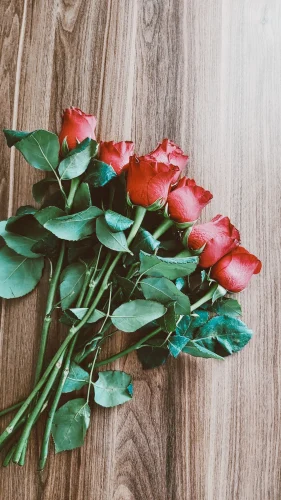 Hình nền đỏ 135