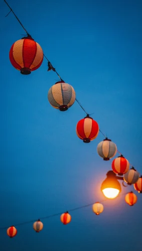 Hình nền dọc 13