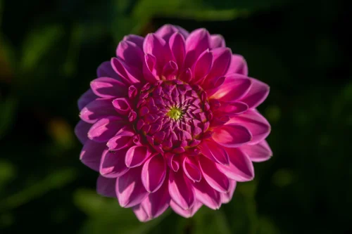 Hình nền Full HD 103