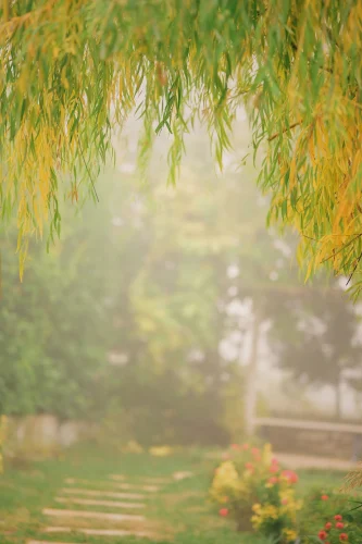 Hình nền Full HD 100