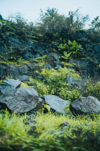 Hình nền Full HD 106