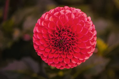Hình nền Full HD 120
