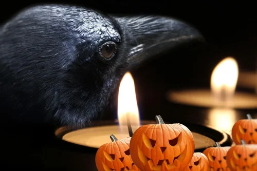 Hình nền Halloween 1