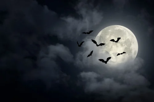 Hình nền Halloween 26