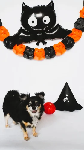 Hình nền Halloween 50