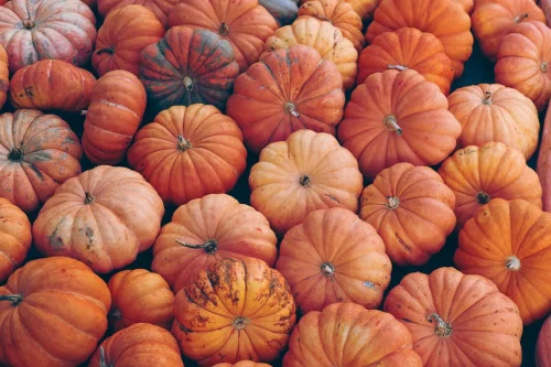 Hình nền Halloween 56