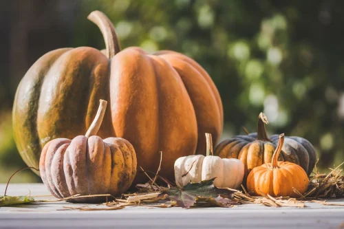 Hình nền Halloween 58