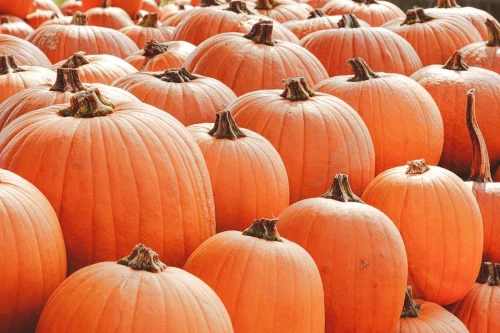 Hình nền Halloween 65