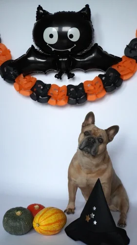 Hình nền Halloween 63