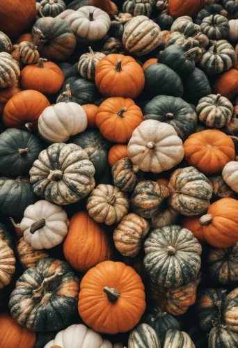 Hình nền Halloween 77
