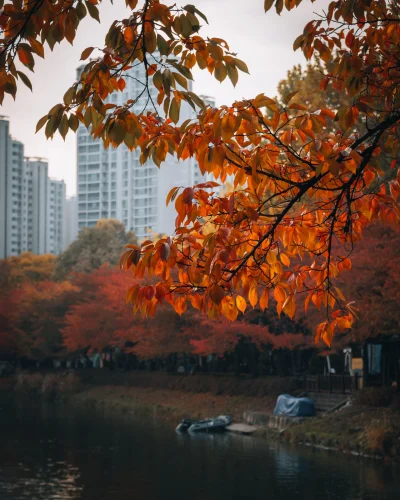 Hình nền Hàn Quốc 86