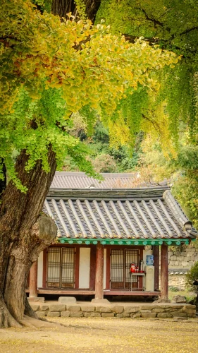 Hình nền Hàn Quốc 132