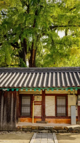 Hình nền Hàn Quốc 137