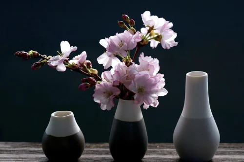 Hình nền hoa anh đào 1