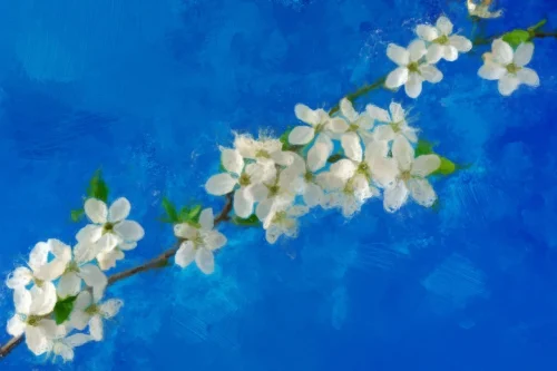Hình nền hoa anh đào 97