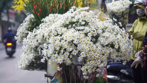 Hình nền hoa 27