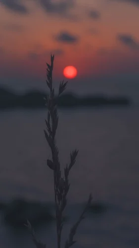 Hình nền hoàng hôn 15