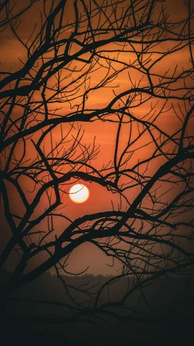 Hình nền hoàng hôn 24