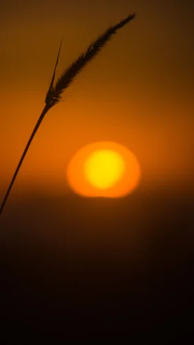 Hình nền hoàng hôn 78