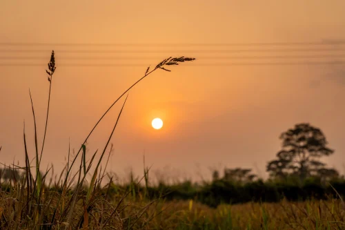 Hình nền hoàng hôn 96