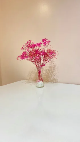 Hình nền hồng 2