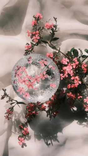 Hình nền hồng 100