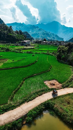 Hình nền iPhone 101