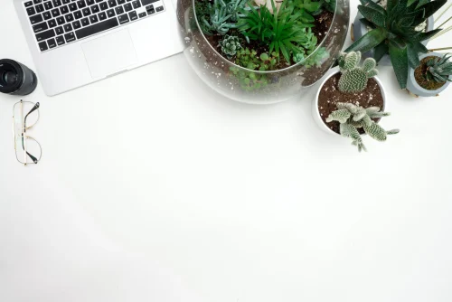 Hình nền laptop 17