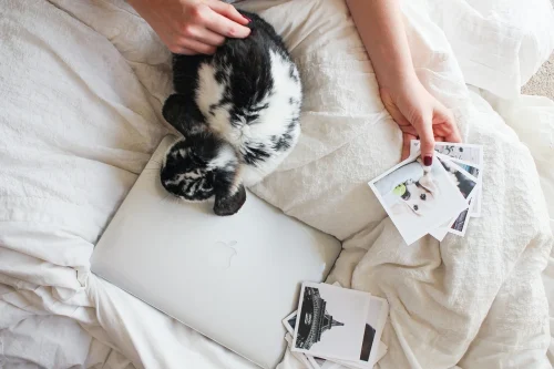 Hình nền MacBook 140