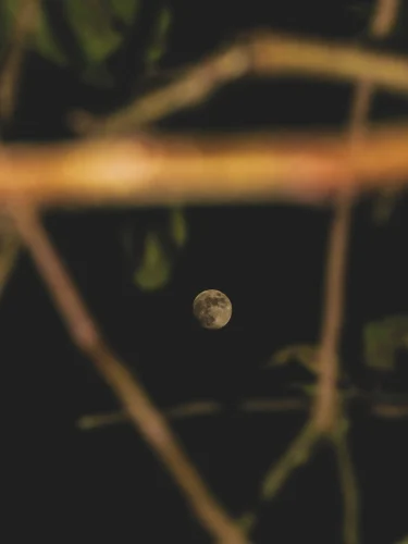 Hình nền mặt trăng 39