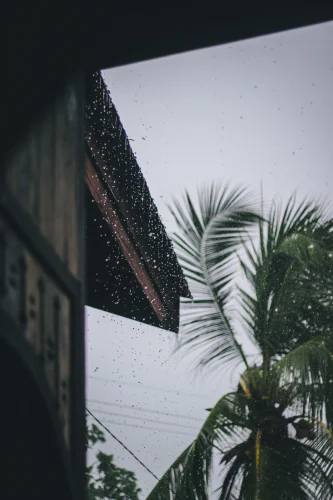 Hình nền mưa 15