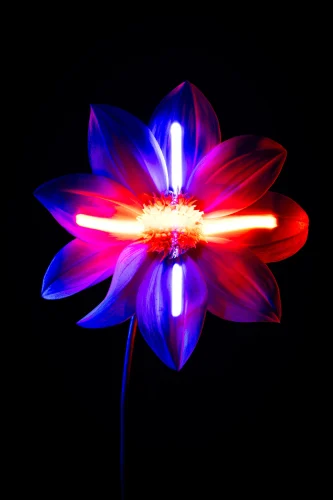 Hình nền neon 38
