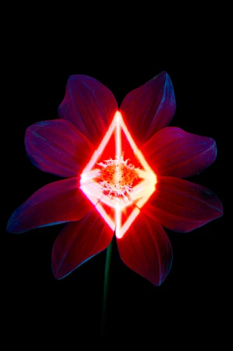 Hình nền neon 42