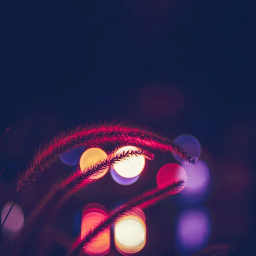 Hình nền neon 173