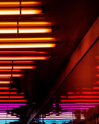 Hình nền neon 136